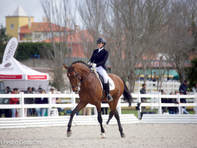 IMG_4939 IMG_4939