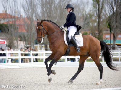 IMG_5004 IMG_5004
